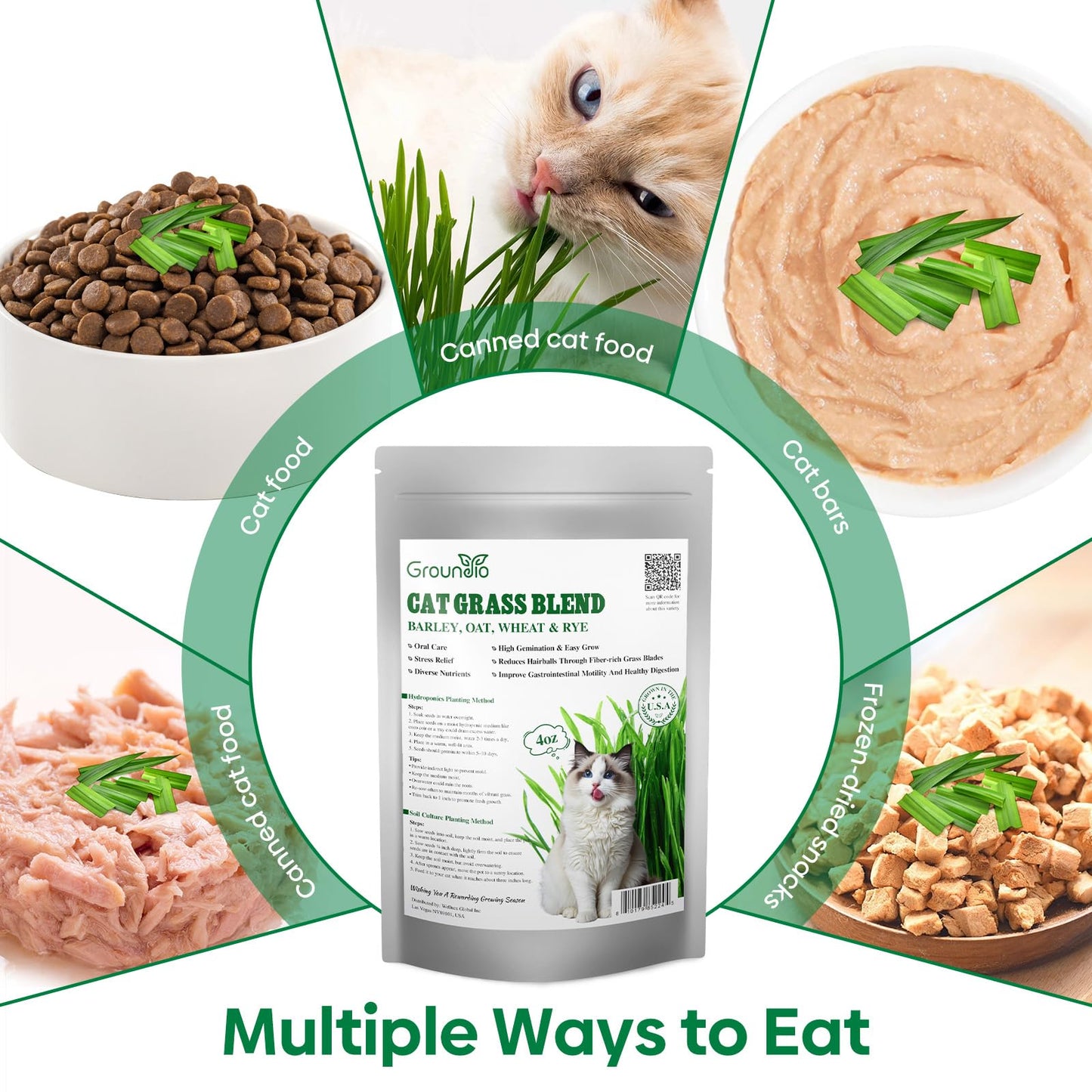 Groundio Cat Grass Seeds, Barley, Oats, Wheat, Rye 4 Varieties, Non-GMO Fast Germinate in 4-7 Days, Sourced from USA for Indoor Cats, 4 Ounce