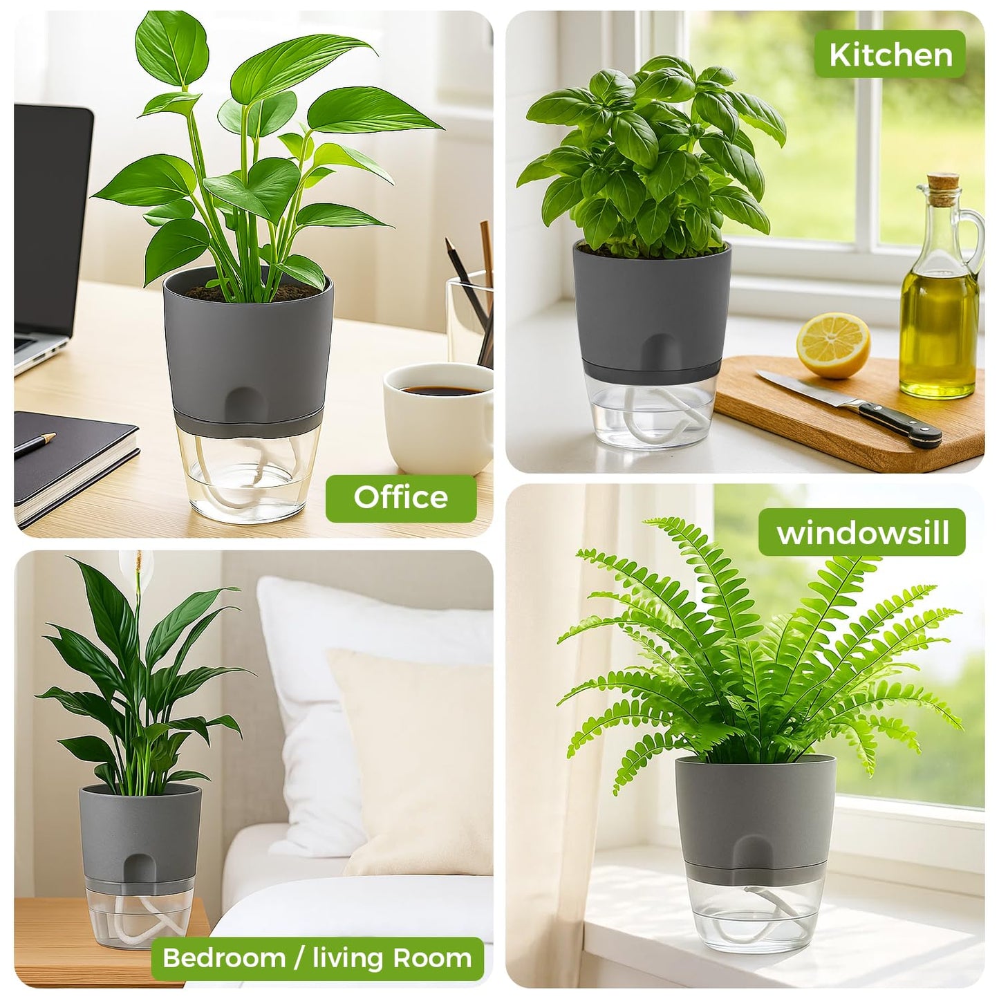 Planterhoma 6 Pack Self Watering Pots for Indoor Plants, 3.2/4/6 Inch Plant Pot Plastic Self Watering Planter for Orchid, African Violet, Small Clear Flower Pots with Drainage Holes and Wicking, Grey