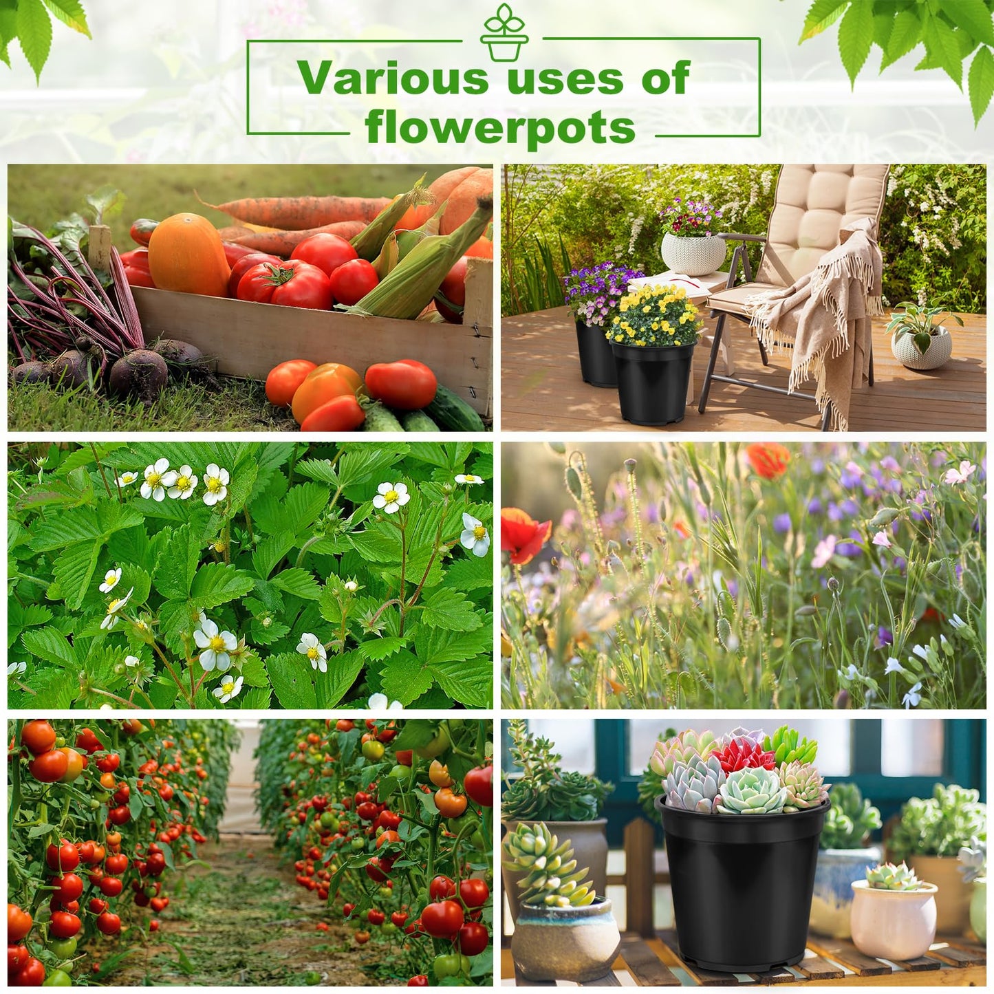 DUNPUTE 6 Pack 3 Gallon Pots for Plants, 3 Gallon Plastic Nursery Pot with Drainage Holes, Sturdy Plastic Plant Pots for Nursery Garden, Flowers, Succulent Outdoor Indoor (Black, 3 Gal- 6 Pack)
