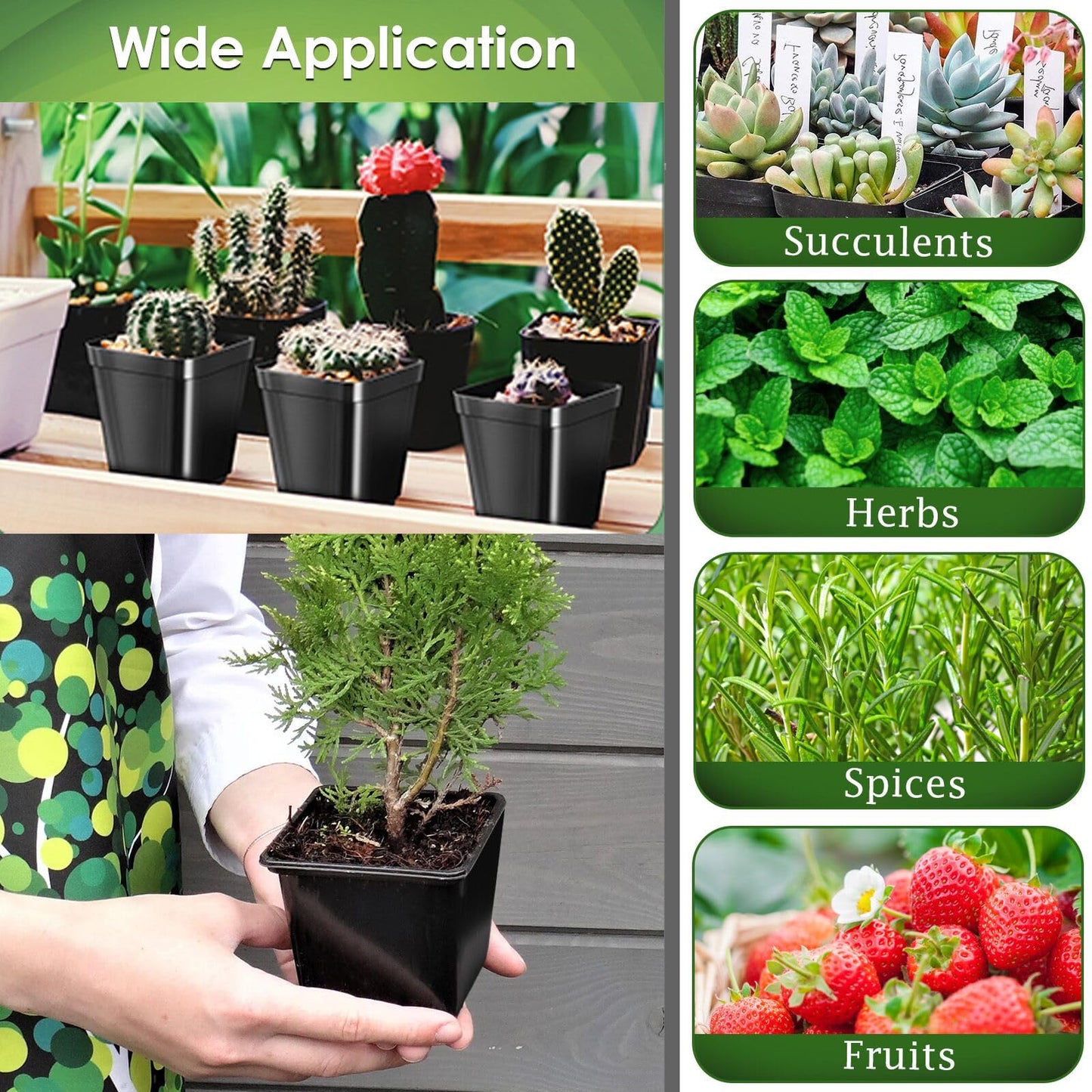 100 Pcs 2.6" Square Nursery Pots for Seeds - Thickened Reusable Plastic Seedling Pots with 60 Plant Labels & Tools - Seed Starter Pots with Drainage for Succulents, Flowers, Cuttings & Greenhouse