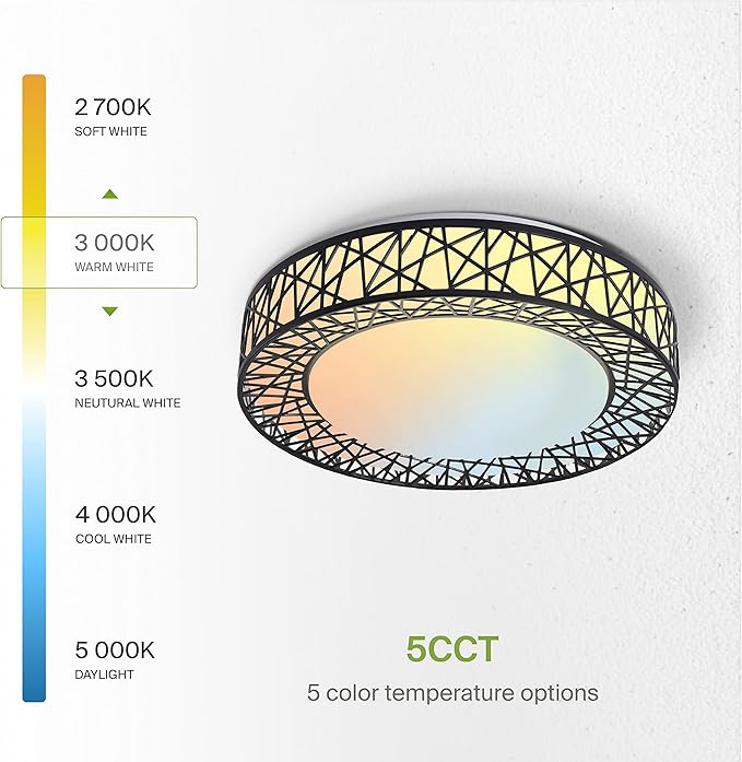 ASD 16 Inch LED Flush Mount Ceiling Light Fixture for Bedroom, 28W 1576LM 5CCT 2700K-5000K, Triac Dimmable Lights, Dining, Living Room, Kitchen Lamps, Modern Home Lighting Fixtures, Black, ETL
