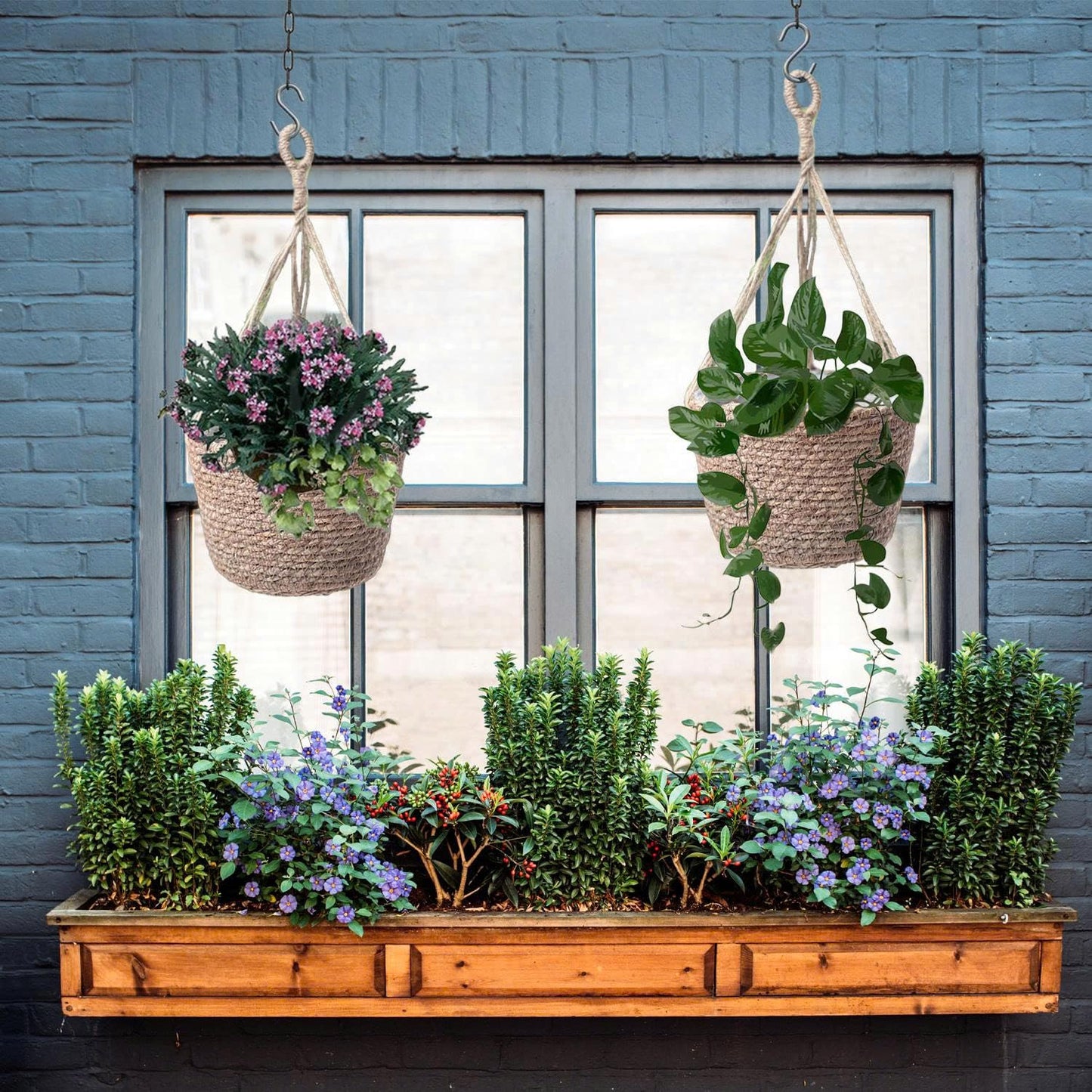 Laquedecraft Woven Seagrass Plant Basket with Hangers | Decorative Planter for Small-Space Living or Natural Home Styling | Perfect for Living Room, Balcony, Patio, Kitchen or Gadren (Set of 2)