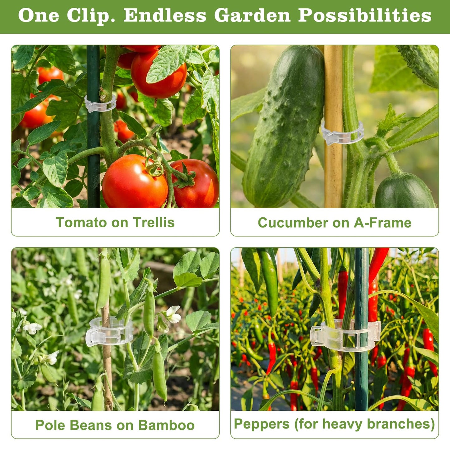 FEED GARDEN Plant Support Stakes Peony Cages and Support and 120Pcs Plant Clips for Climbing Plants