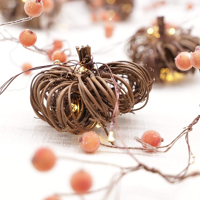 Nature Rattan Pumpkin Lights - 10FT 30 LED Cozy Fall Garland with Lights Battery Operated Charming Thanksgiving Decorations with Remote - Ideal Thanksgiving Garland Fall Decorations for Home