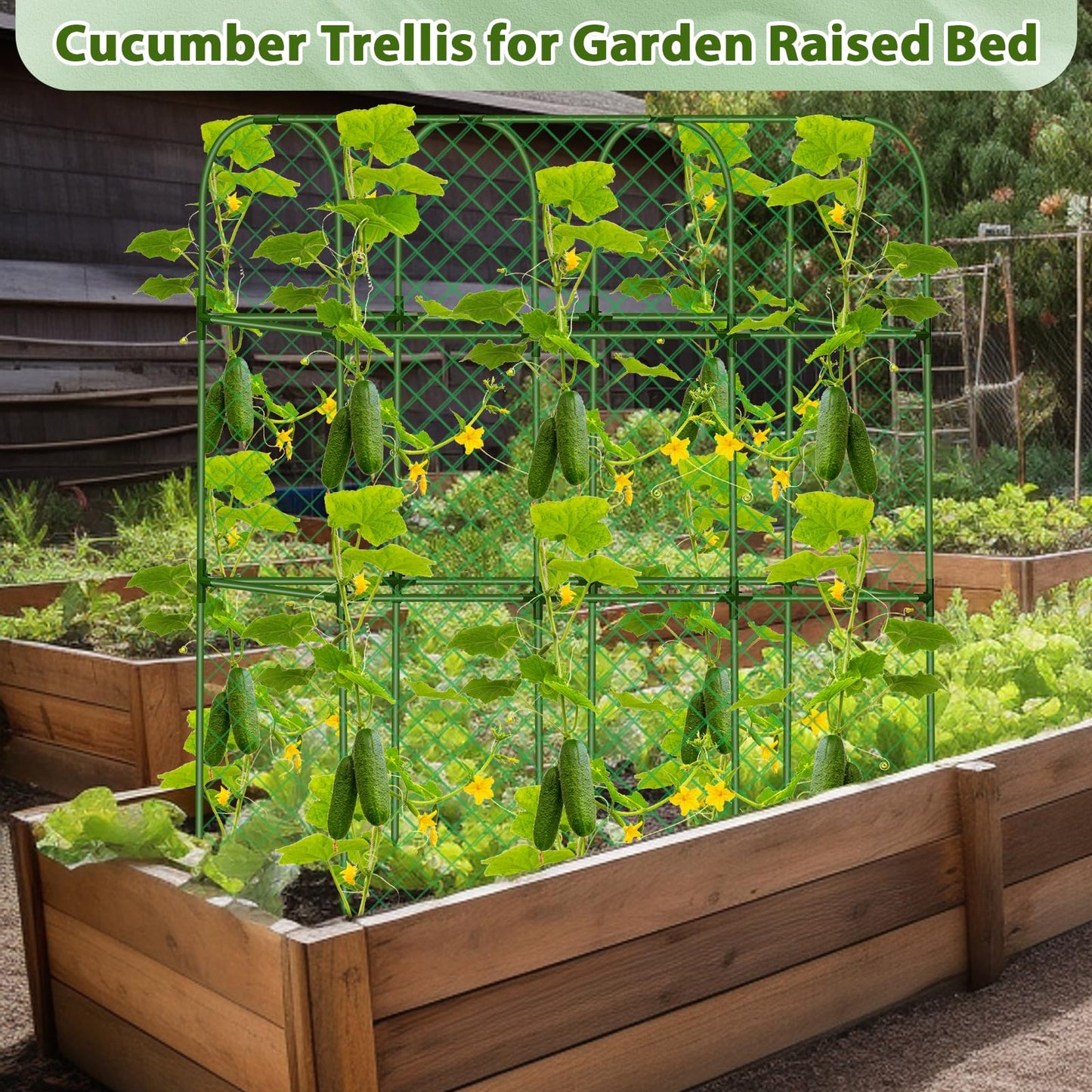 Cucumber Trellis for Garden, Upgrade U-Shaped Metal Garden Trellis Plant Grow Support Frame for Climbing Plants Vegetable Flower Fruits Vine Raised Bed with Netting, Instruction, Garden Tools, Green