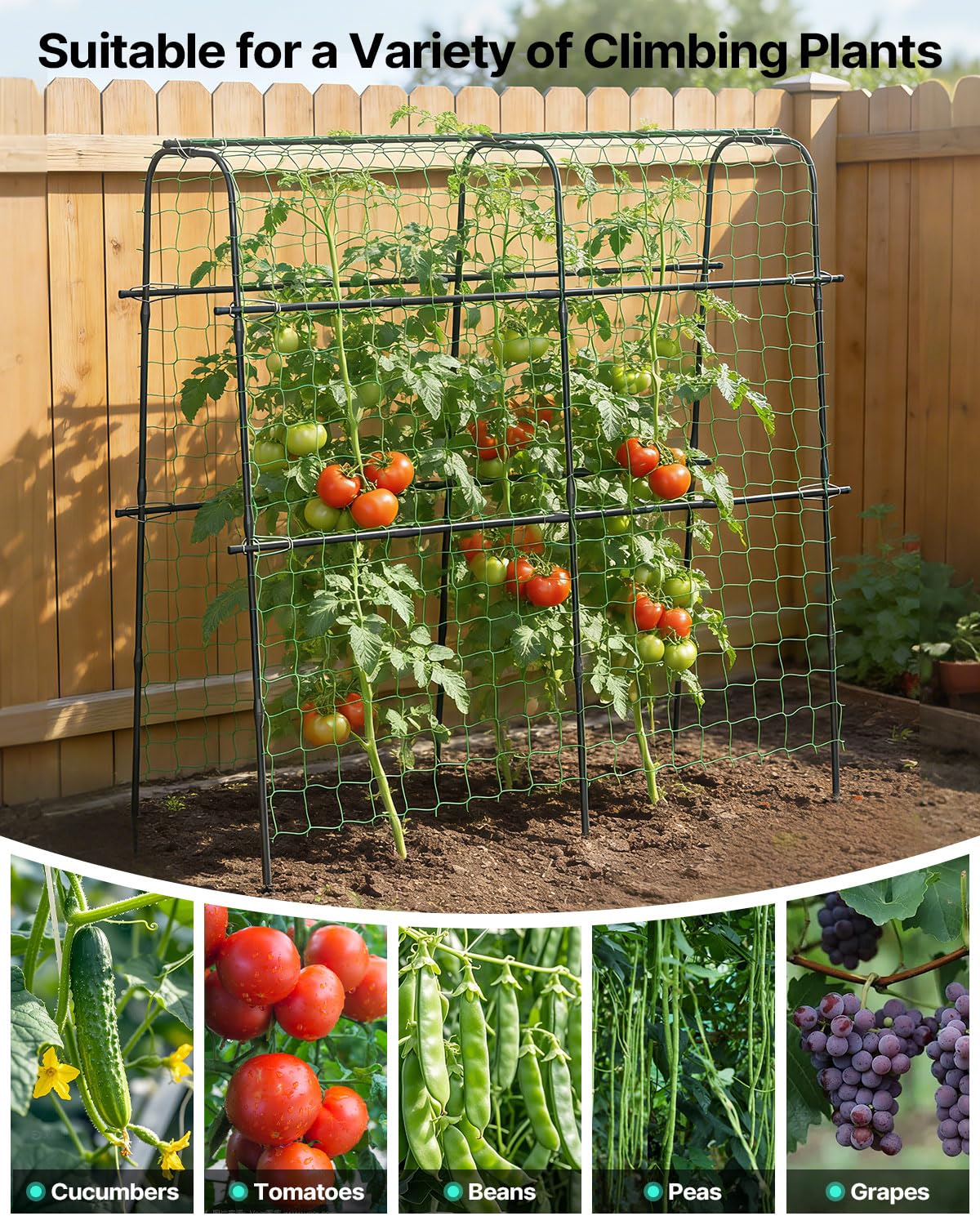 Suteck Cucumber Trellis for Raised Bed – 63" x 63" U-Shaped Metal Garden Trellis for Climbing Vegetables, Tall Arch Plant Support for Beans, Tomatoes