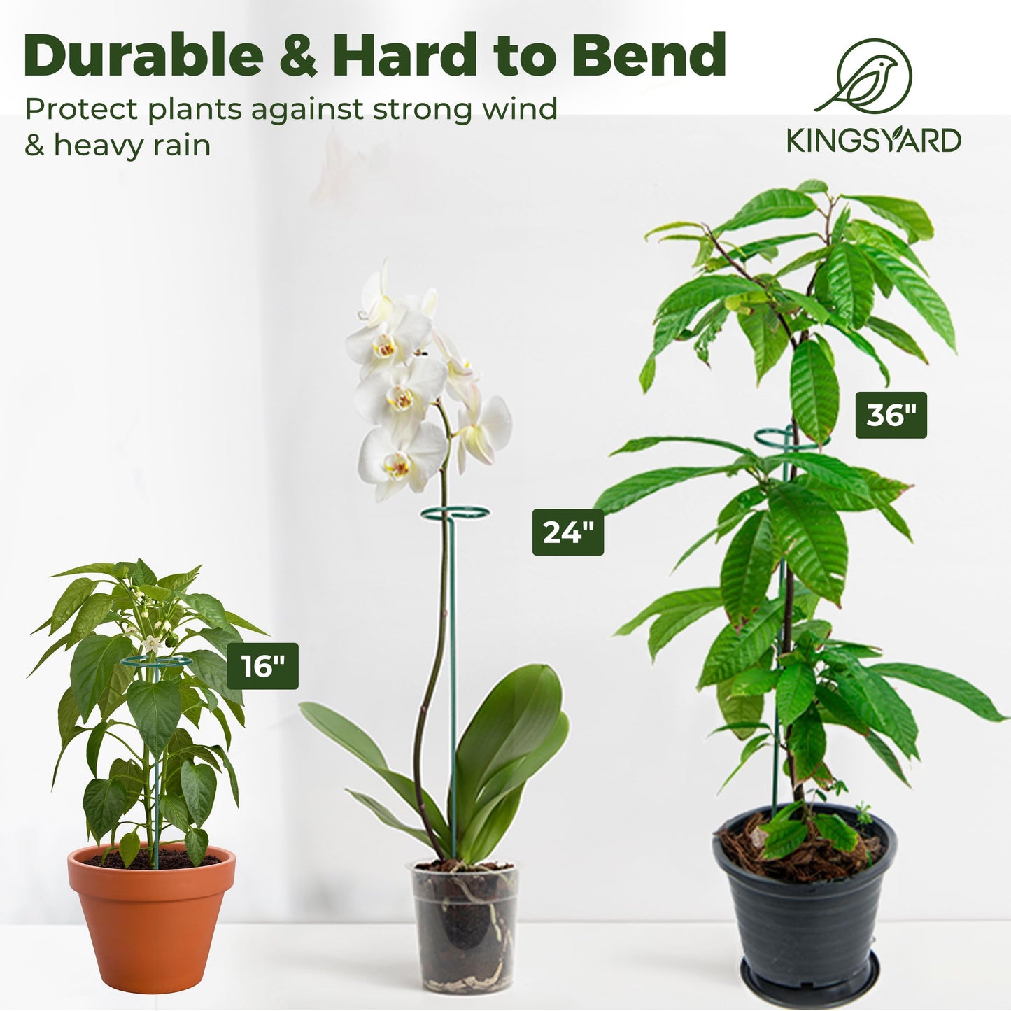 Kingsyard 24 Inch Plant Support Stake - 10 Pack, 4.5mm Thick All Metal Garden Plant Stakes Plant Prop for Single Stem Flowers Dahlia Amaryllis Orchid Lily Rose Peony Tomatoes Gladiolus