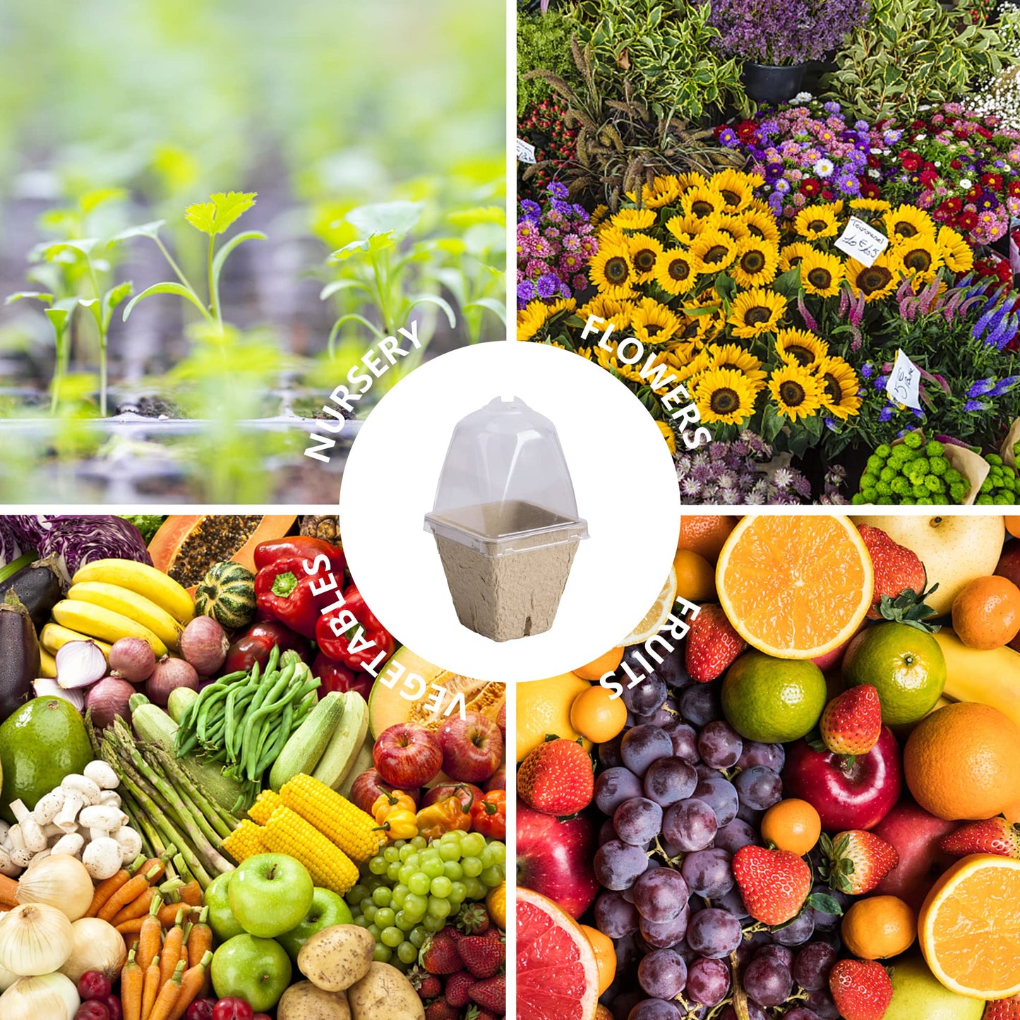 PURPLE STAR 1N 20 Pcs Biodegradable Nursery Pots with Humidity Dome- 2.3 Inch Square Seeding Starter Pot for Planting- Peat Pots for Seedlings Garden Vegetable Flower Germination