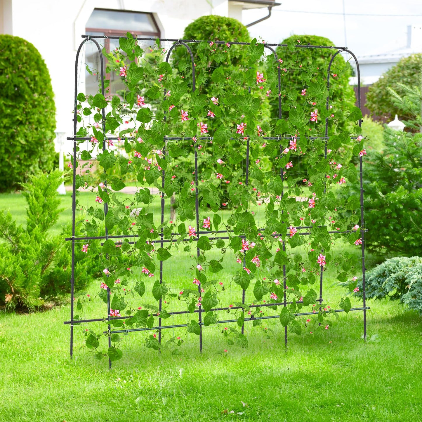 Toolsempire 71" x 71" Cucumber Trellis for Raised Bed, Garden Arch Trellis Metal Plant Support Frame with Netting, Sure-Clips & Ground Stakes, U-Shaped Garden Trellis for Climbing Plants Outdoor