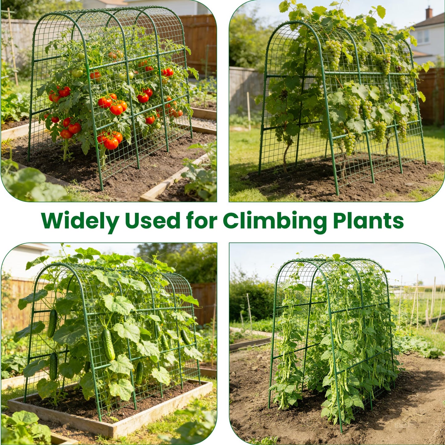 Cucumber Trellis for Raised Bed 64" L x 48" H, U-Shape Garden Trellis for Climbing Plants Outdoor, Metal Arch Trellis for Vegetables, Plant Support for Tomato Pea Zucchini Grape Flowers