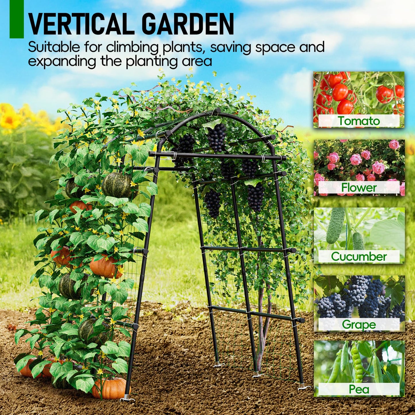 SPECILITE Garden Arch Trellis 86 in Extra Tall for Climbing Plants Outdoor, Steel Stainless Arched Arbors Tunnel Trellis with Netting, Includes Sure Clips, Cable Ties for Cucumber Tomato Vines