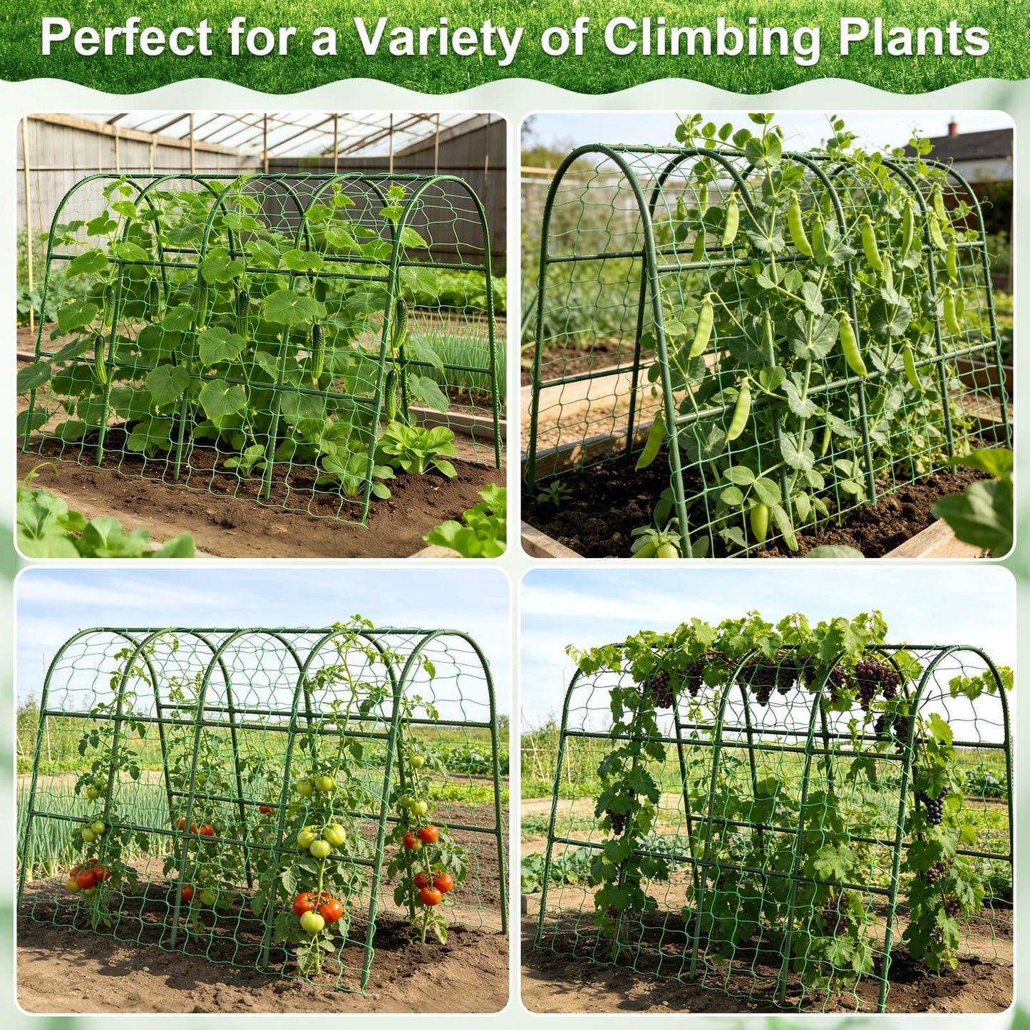 Cludoo Cucumber Trellis for Raised Bed Garden, U-Shape Arch Trellis for Climbing Plants Outdoor, Metal Vegetables Trellis with Netting, Garden Trellis for Cucumber Plants Sweet Pea Bean Grape