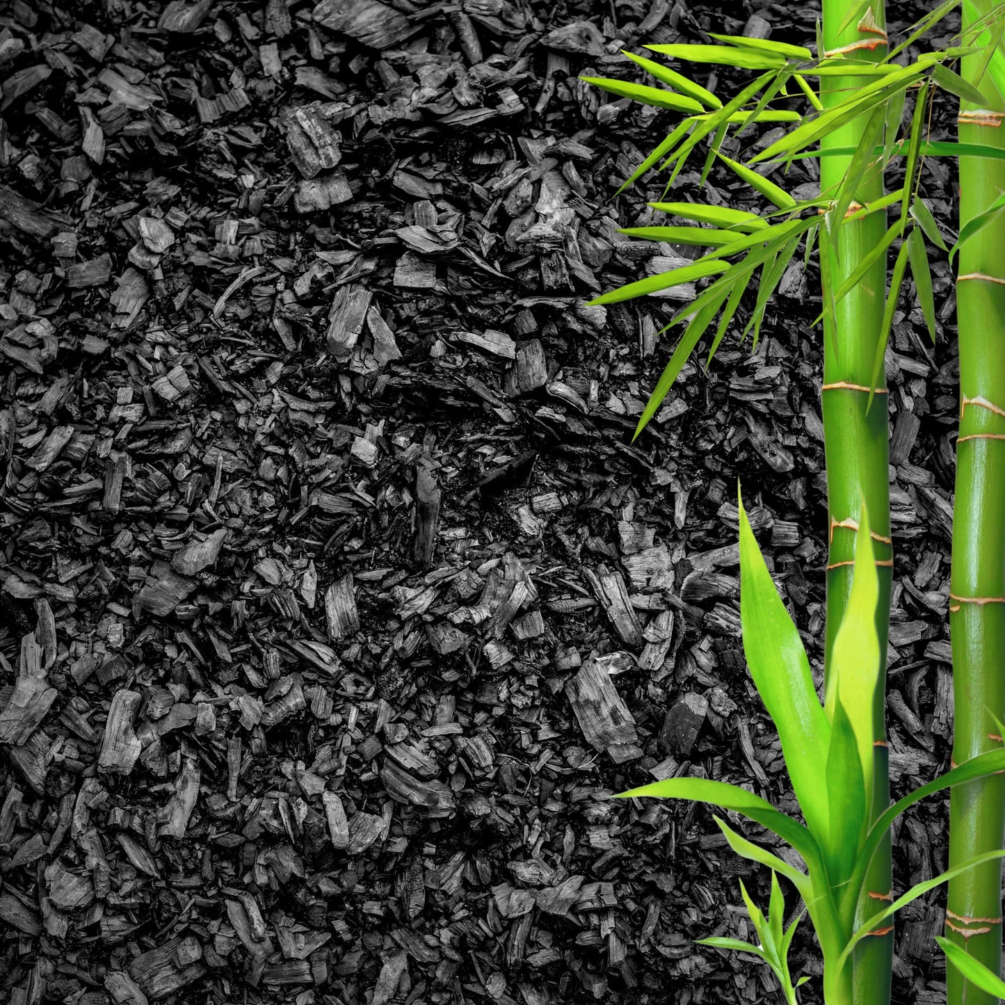 GARDENWISE Horticultural Charcoal for Plants β Organic Bio Char Soil Amendment for Terrariums, Indoor Plants & Gardening, Made in USA (5 quarts)