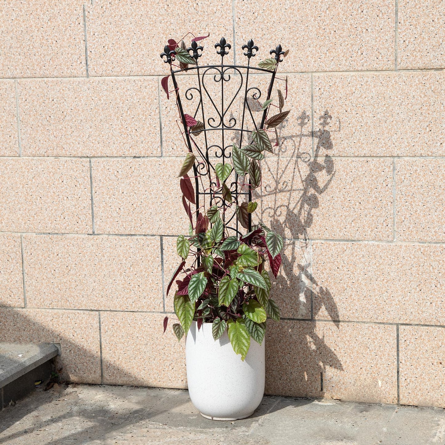 GOOOXIM Heavy Duty Indoor Trellis for Climbing Plants Set of 3 β 31x12 Inches Premium Iron Plant Support for Garden, Balcony, and Indoor Spaces β Perfect for Monstera and Other Houseplants