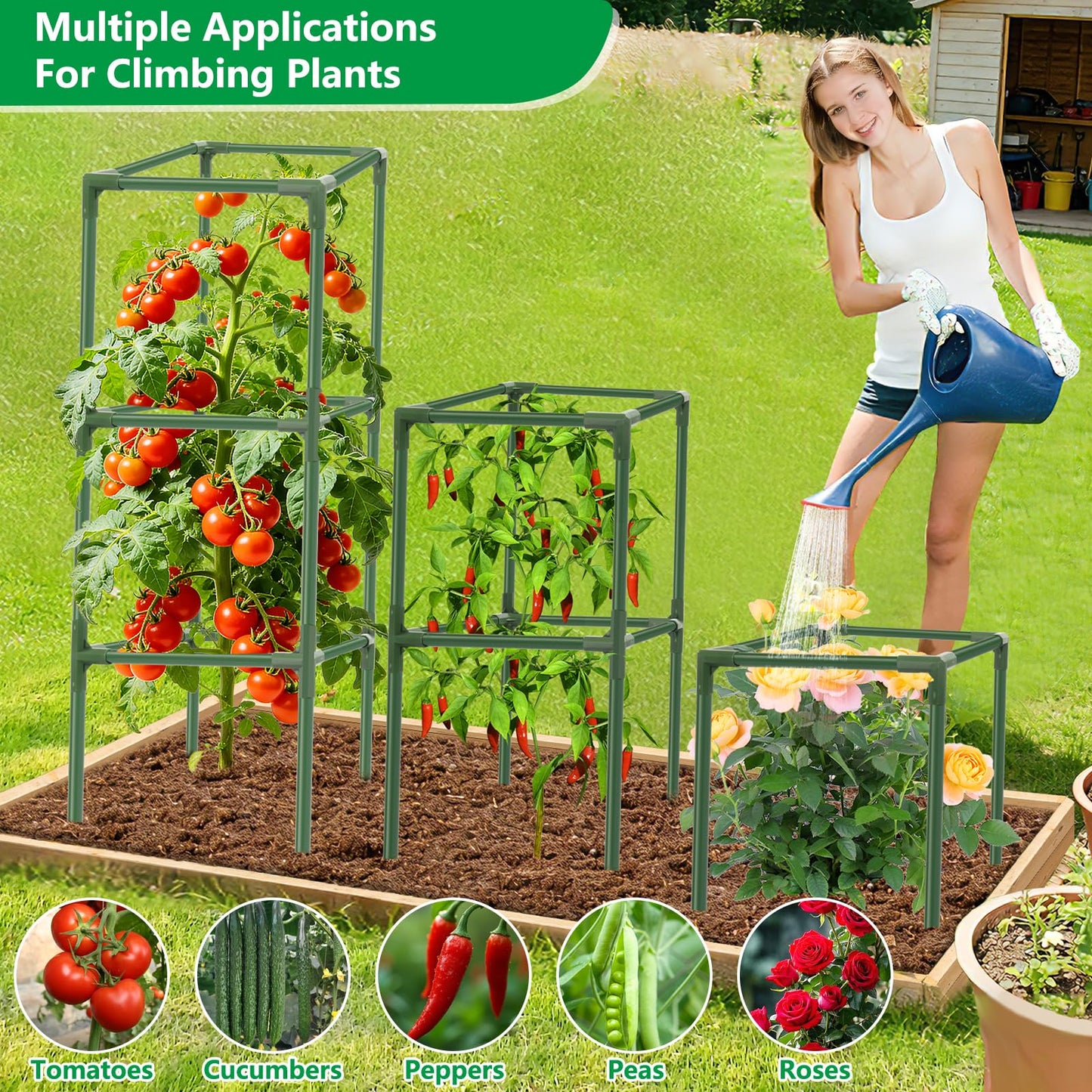 6 Pack Square Tomato Cages, 49.2" Large Upgraded Heavy Duty Steel Tomato Trellis Stakes, Garden Plant Support Cages Kit for Raised Garden Bed, Cucumber Trellis Vegetables and Climbing Plants