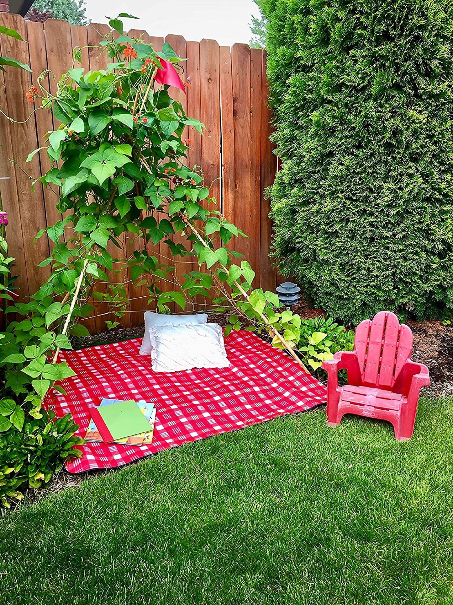 Living Growing Trellis Tent + 25 Morning Glory, Moonflower Seeds- for Planting, Vining and Playing. Family Fun, or Quiet Get Away. - Seed Play Love - Country Creek Acres