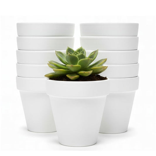 YESIACE White Terracotta Flower Pots with Drainage Holes, 4 Inches, 24 Pack, Suitable for Planting and Decoration