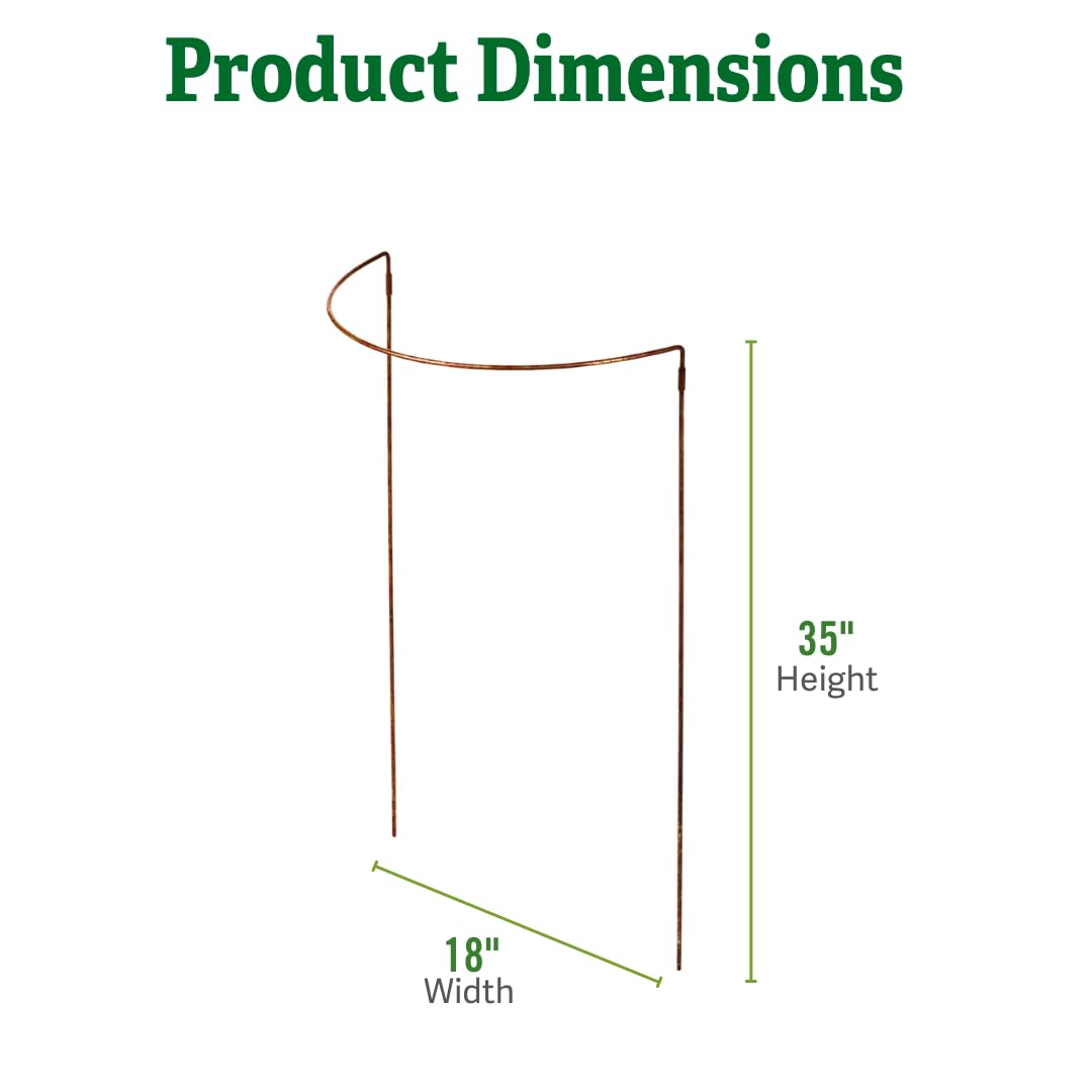 Gardener's Supply Company Jardin Half Round Metal Garden Plant Stakes | Sturdy Powder Coated Metal Outdoor Garden Plant Support Ring Border for Tomatoes, Flowers & Other Plants | 18" x 35" - Set of 2