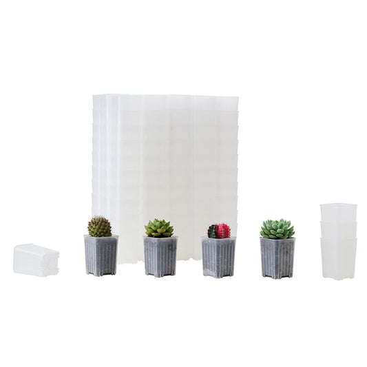 BangQiao 120 Pack 2.40 Inch Small Clear Plastic Square Nursery and Seedling Pot, Deep Transplant Seed Starter Planter with Drain Hole for Germination, Herb, Succulent