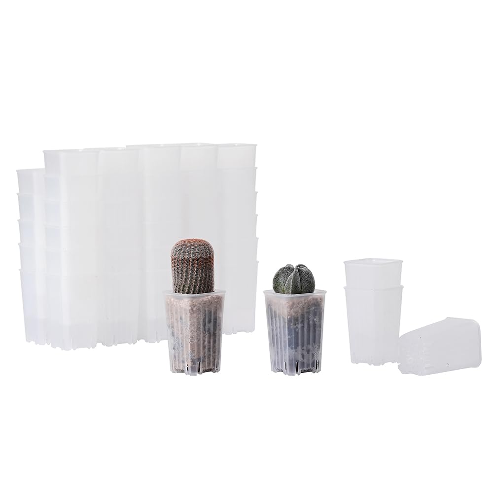 BangQiao 60 Pack 1.95 Inch Tiny Clear Plastic Square Nursery and Seedling Pot, Mini Deep Transplant Seed Starter Planter with Drain Hole for Germination, Herb, Succulent