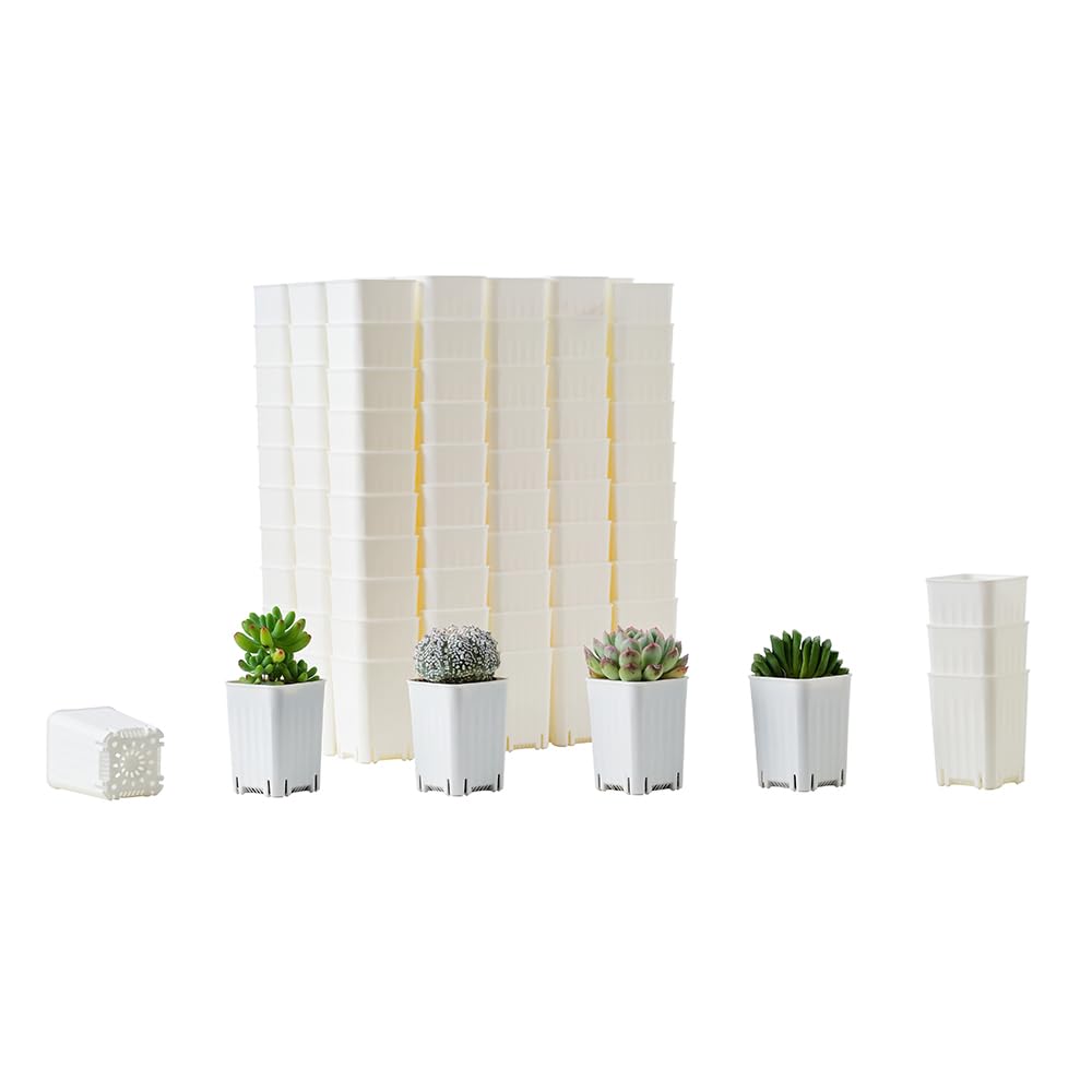 BangQiao 120 Pack 2.40 Inch Small White Plastic Square Nursery and Seedling Pot, Deep Transplant Seed Starter Planter with Drain Hole for Germination, Herb, Succulent