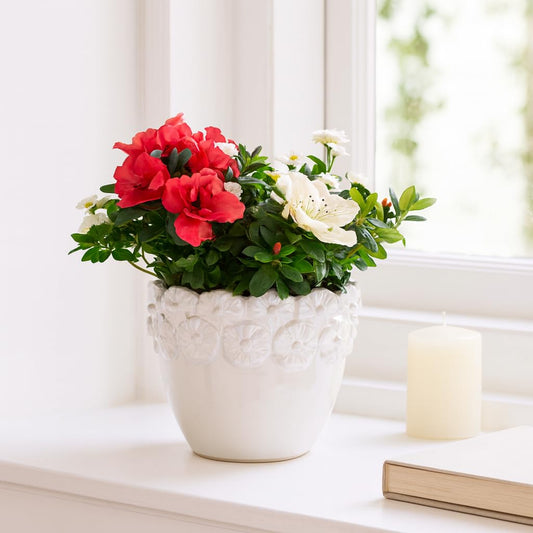 Decorative Ceramic Floral Crown Planter for Home Decor - Flower Pot for Shelf, Office, and Living Room Decor - Indoor and Outdoor Pot for Plants or Plant Stand Indoor - 6", Ivory & Tan