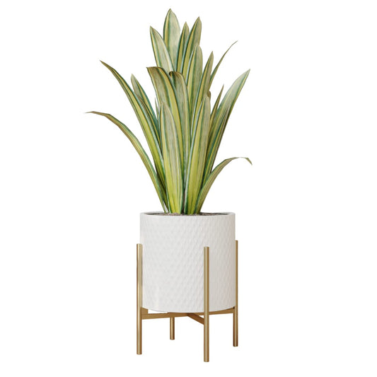 EverNest Claire Mid-Century Modern White Planter and Stand, Indoor Plant Pot, SelectBase, Minimalist Aesthetic, Home Decor for Plants - (Gold Base, Small)