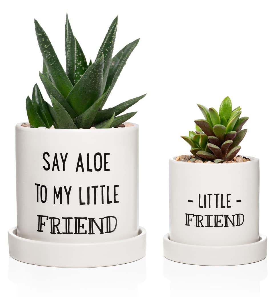 Aloe Pot and Succulent Planter - Set of Two - Funny Housewarming Gift - Plants Not Included