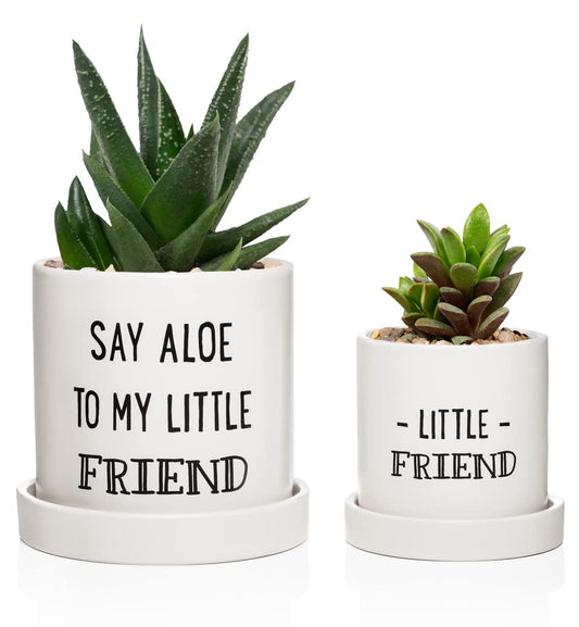 Aloe Pot and Succulent Planter - Set of Two - Funny Housewarming Gift - Plants Not Included