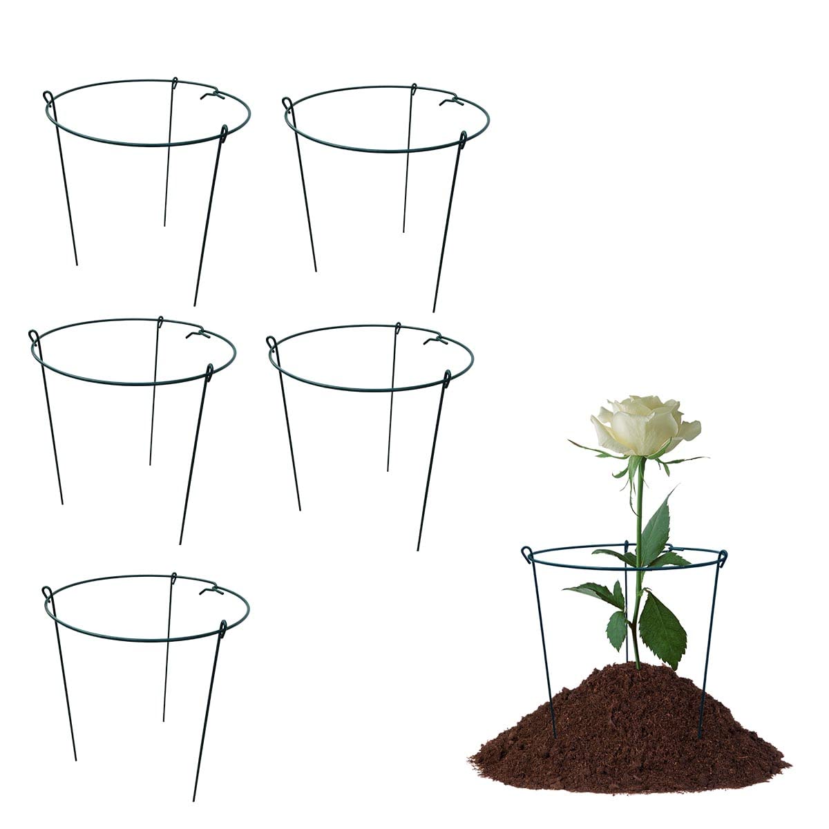 5 Pack 10" Wide x 16" High Peony Cage Rings Garden Plant Support Brace Round Metal Plant Stakes Rings, Strong Large Garden Supports for Flowers, Peonies, Rose, Lily