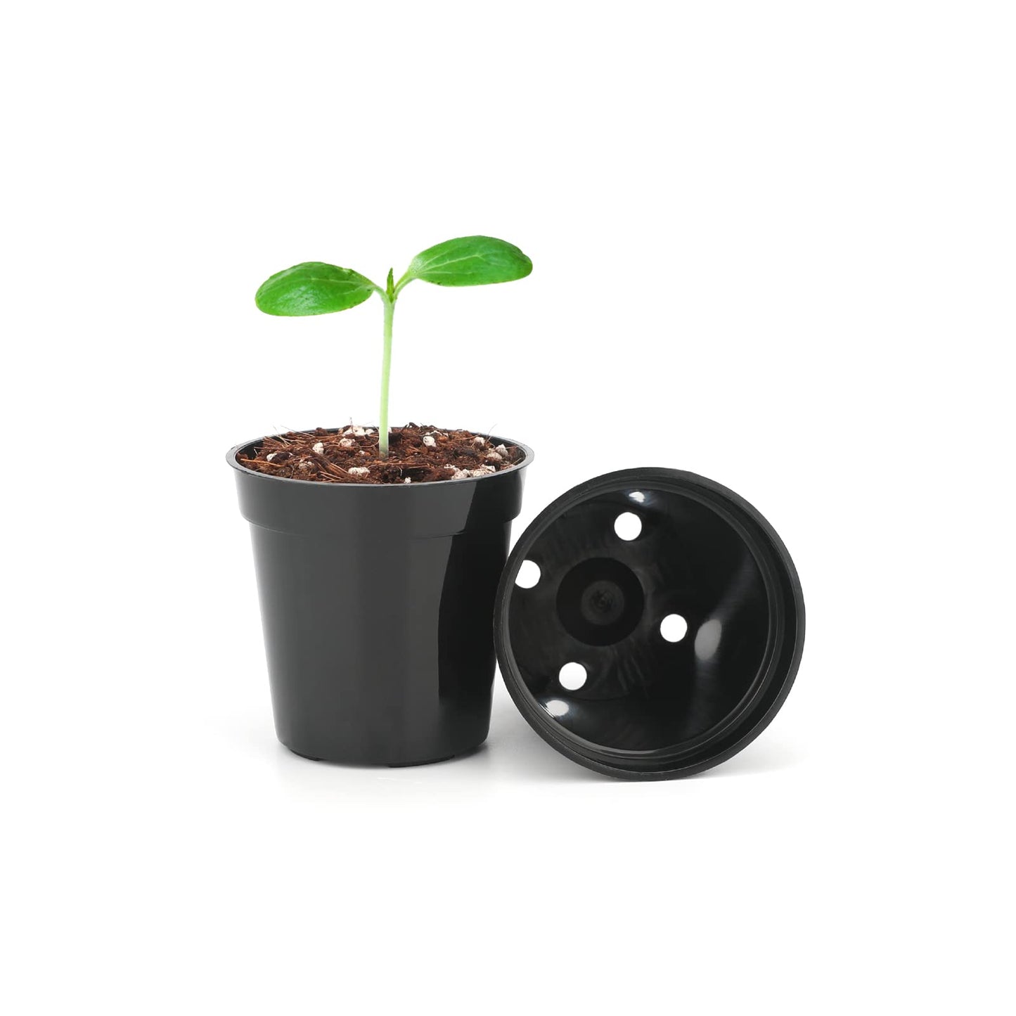 KINGLAKE GARDEN Small Black Plastic Pots,50 Packs 2 Inch Small Plant Pots with Drainage Holes,Mini Nursery Plastic Plant Planters for Succulents,Indoor Outdoor Plant