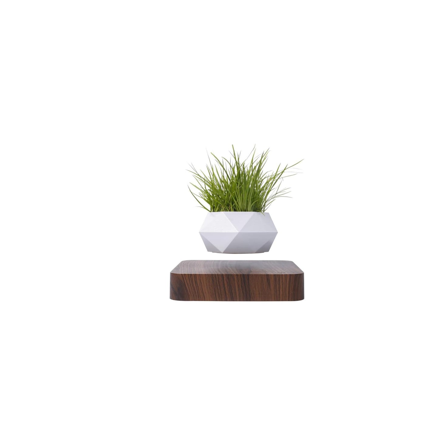 LMingKun Levitating Plant Pot - Floating Plant Pot for Small Plants. Levitating Decor for Home & Office Magnetic Floating Levitating Display (deep Wood Grain)