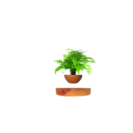 LMingKun Planting Flower pots,Levitating Plant Pot,Magnetic levitation,Floating Plant Pot,Floating Plant,Hanging Flower pots,Suspendded Flowerpot,Hanging planters for Indoor Plants