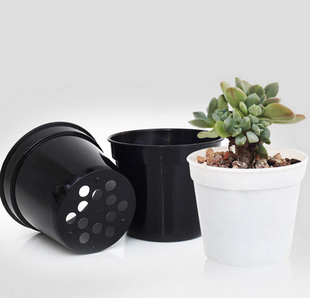 DODXIAOBEUL Round Succulents Plant Pots Drainage Hole, Set of 40 Mini Plant Pots 2.5" Wx2.25 H,Perfect for Plant Seeds,Seedling Nursery Transplanting Planter Container(White-40)