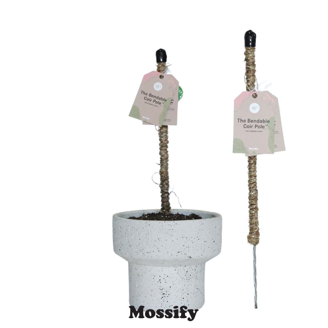Mossify Bendable Coir Pole for Plants – 16” Premium Manila Coir Moss Pole Monstera Plant Support for Indoor & Outdoor Plant Climbing Support - Comes with Reusable Tape for Durable Plant Pole