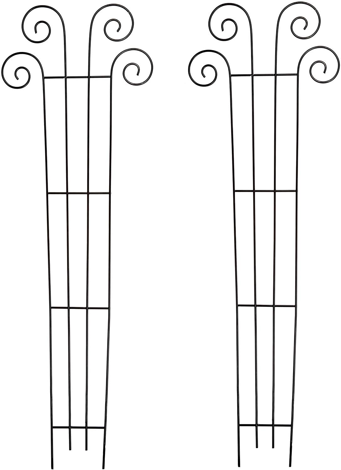 Hosley's 48" High Set of 2 Wave Iron Trellis Ideal Gift for Floral Arrangements Wedding or Party and Use Next to Structures Home or Office or in Planters for Growing Floral Plants Vines and Vegetables