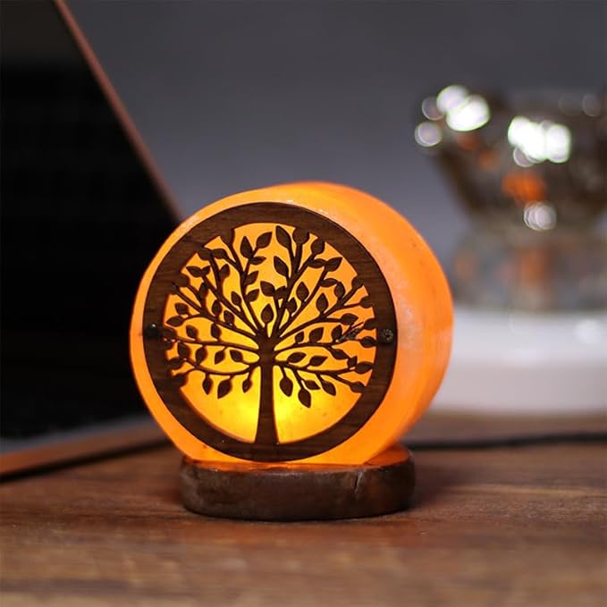 Himalayan Salt Lamp with USB Power, Natural Shape, Color-Changing LED and Warm White Light, Wooden Base Night Light (L, Change Color)