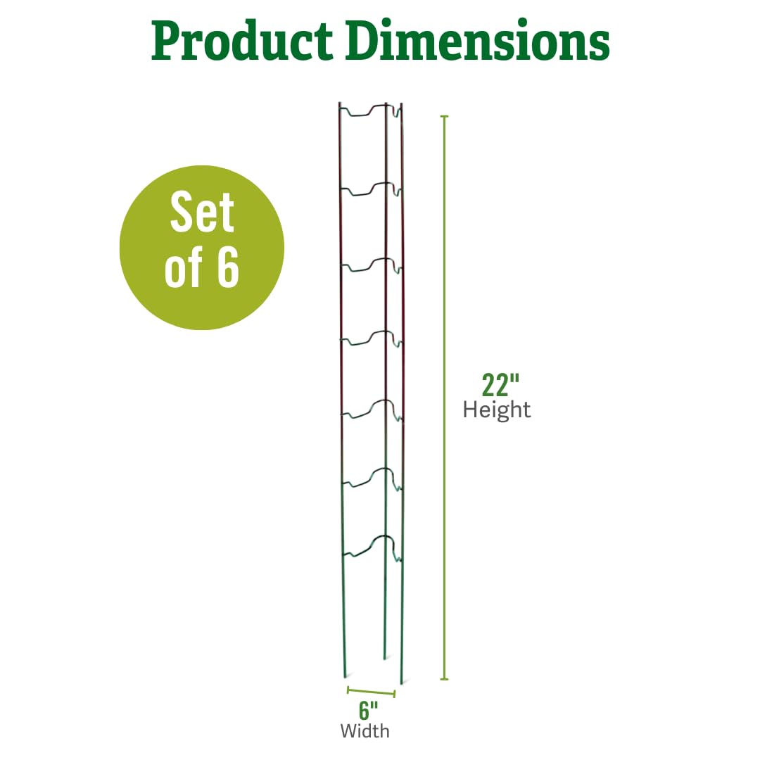 Stacking Tomato Ladder Stakes (Green)
