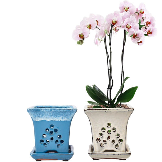 Ceramic Orchid Pots with Holes attached Saucers 4.8 Inches - Set of 2 Small Square Orchid Pots for Repotting, Decorative Ceramic Orchid Planter with Hole for Healthy Root Growth Blue White Mixed