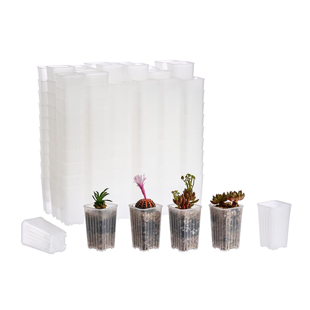 BangQiao 180 Pack 1.95 Inch Tiny Clear Plastic Square Nursery and Seedling Pot, Mini Deep Transplant Seed Starter Planter with Drain Hole for Germination, Herb, Succulent