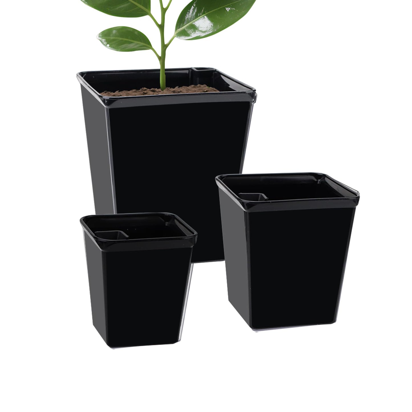 YITOBA 3 Sizes Clear Self Watering Pots Set, Small Flower Pots for Indoor Plants with Visible Reservoir and Wick Rope, Plastic Indoor Planter for Seedlings, Orchid African Violet (Black)