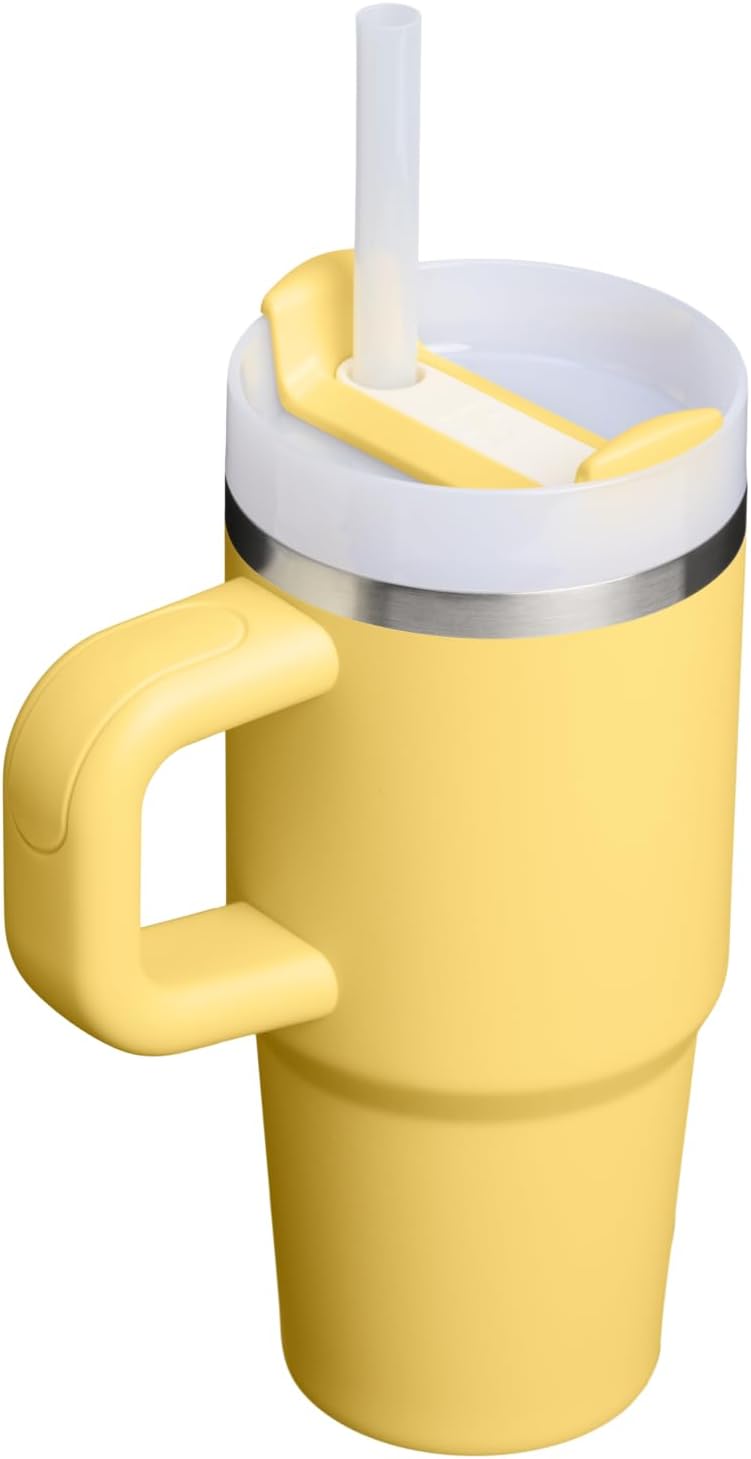 STANLEY Quencher H2.0 Tumbler - 14 oz Insulated Stainless Steel Cup with Handle & Straw | BPA-Free Daffodil