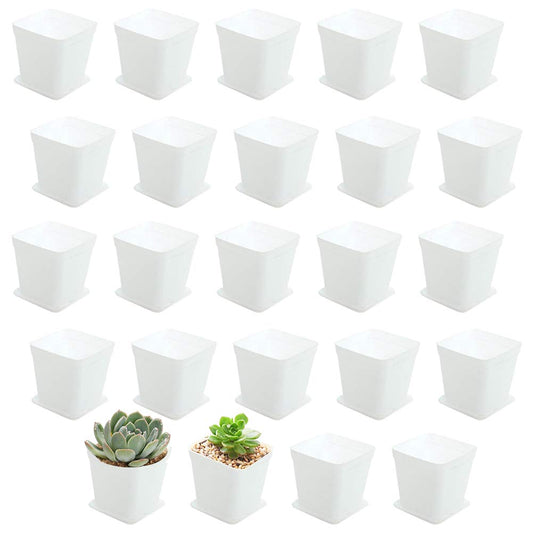 24 Pack 3 Inch White Square Plastic Plant Pots with Saucers,Nursery Seedling Pots with Drainage Hole,Small Planter Containers for Succulents,Flowers,Indoor Outdoor Garden,Home Office Balcony Decor