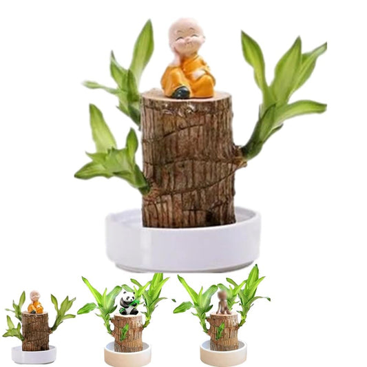 Brazilian Lucky Wood, Brazil's Lucky Tree Doesn't Need to Wait to Sprout, Hydroponic Stump for Purifying Indoor Air, Office Desk Decorations Plant Pot (B)