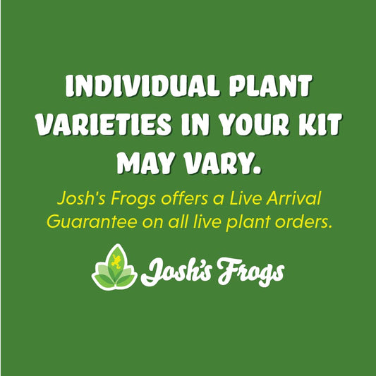 Josh's Frogs 12x12x24 Vivarium Plant Kit (3 Plants)