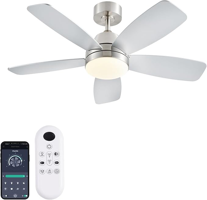 Ceiling Fans with Lights