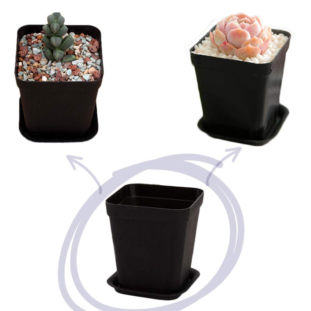 OJYUDD 24 Pack 3 Inch Black Nursery Pot Flower Pots Square Plastic Plant Pot Plastic Starter Pots with Saucer Basket Indoor Outdoor for Your Room,Garden Office and Balcony Decor