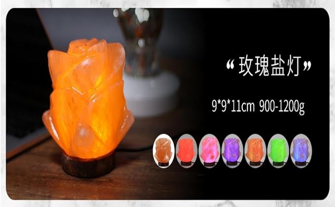 Himalayan Salt Lamp with USB Power, Natural Shape, Color-Changing LED and Warm White Light, Wooden Base Night Light (I, Monochrome)