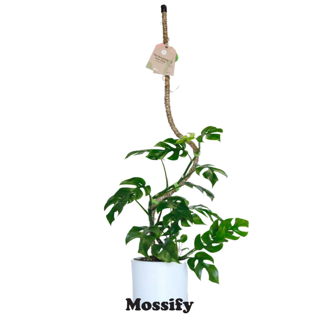 Mossify Bendable Coir Pole for Plants – 42” Premium Manila Coir Moss Pole Monstera Plant Support for Indoor & Outdoor Plant Climbing Support - Comes with Reusable Tape for Durable Plant Pole
