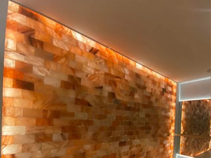Himalayan Pink Salt Bricks and Salt Glue 8"x4"x2" 50-Pack for Walls, Sauna, Spa, Home Wall Decor improvement (Pack of 50 Bricks + 2 Glue)